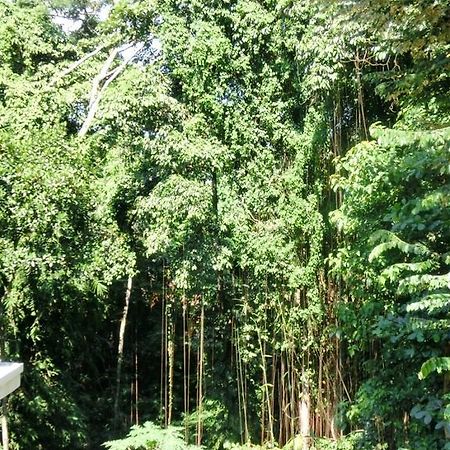 Latugu Homestay Ubud Dış mekan fotoğraf