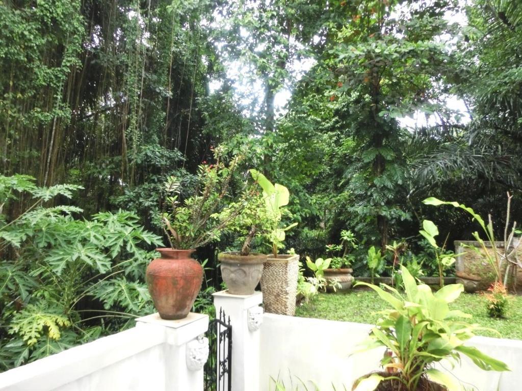 Latugu Homestay Ubud Oda fotoğraf